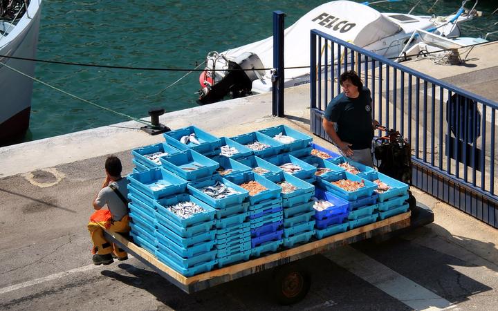 De vissershaven van L'Ametlla de Mar met kleurrijke boten aan de kade